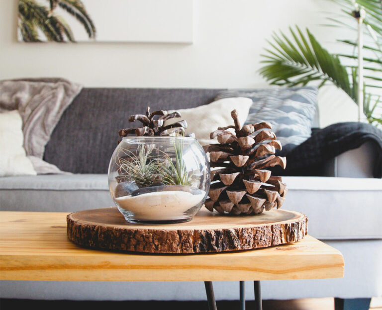 How to Make Your Salon Close to Nature